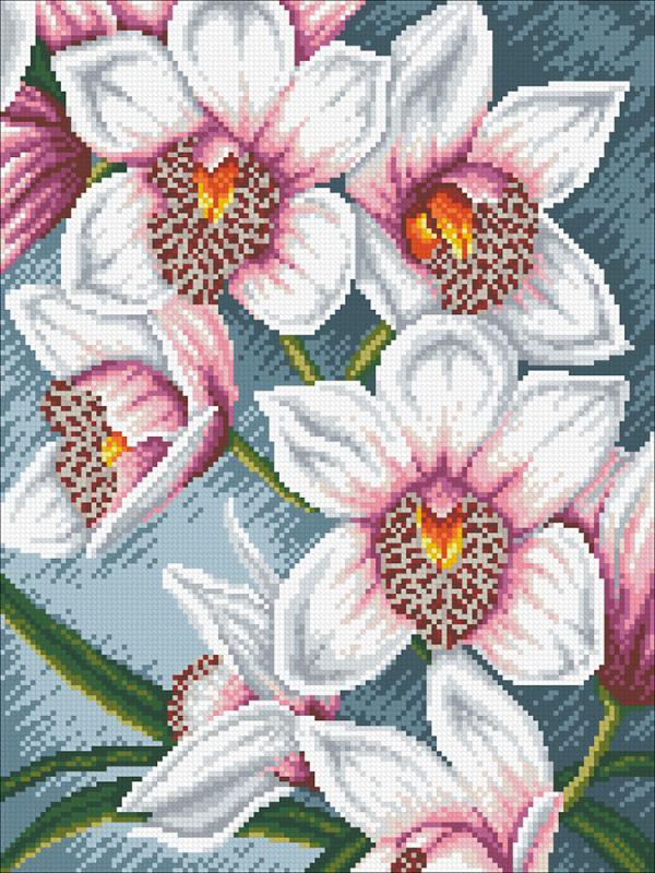Алмазная мозаика "Орхидеи"