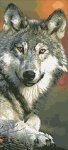 Алмазная мозаика "Волк"