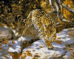 Алмазная мозаика "Леопарды"