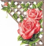 Набор для вышивания "Ветвистая красная роза"