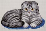 Набор для вышивания "Шотландский вислоухий кот"