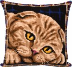 Набор для вышивания "Подушка. Шотландская кошка"