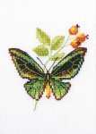 Набор для вышивания "Веточка шиповника и бабочка"